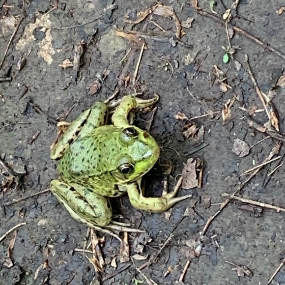 Meet your Posher, Ryguy - Picture 1 of 1